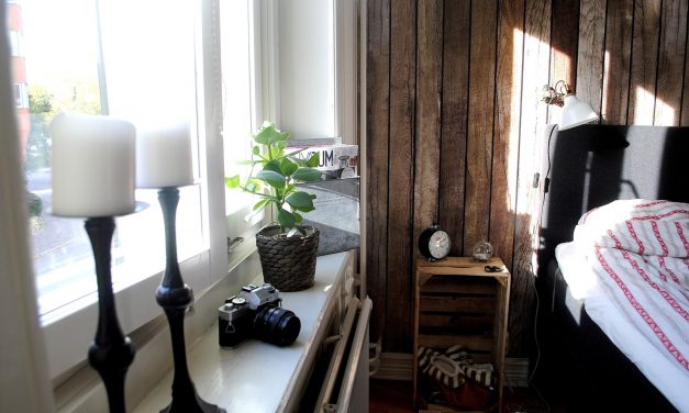 Mer bilder från senaste projektet