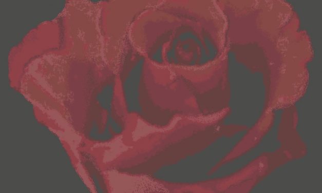 Ny tapetkollektion från Eco-Boråstapeter